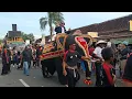 Download Lagu Pesona Budaya Karnaval Kecamatan Jetis Ponorogo 2025 rombongan Unta, Gajah dan Reog 