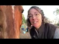 Horse Time