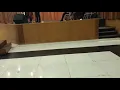Download Lagu SIO YA TUHANKU (Balada anak Negri) Trio HIMPPAR SALATIGA JAWA TENGAH