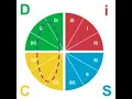 Lagu Interaction between DiSC styles:  C (Conscientious) with D (Dominant)