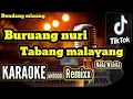Download Lagu Buruang Nuri Tabang Malayang ~ Karaoke ~ Remix 2022