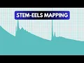 FEI Themis Z Gatan Continuum ER energy filter STEM-EELS mapping