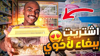 رحت حراج الحيونات 