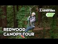Redwood Canopy Tour 1