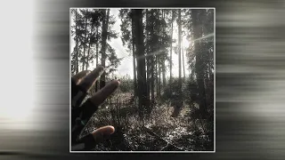 Anor LO0K Super Slowed 