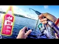 GF v BF Inshore Fishing HAIR DYE CHALLENGE
