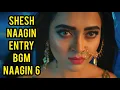 Download Lagu Naagin 6 | Shesh Naagin Entry BGM | Ep 6
