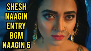 naagin 6 shesh naagin entry bgm ep 6