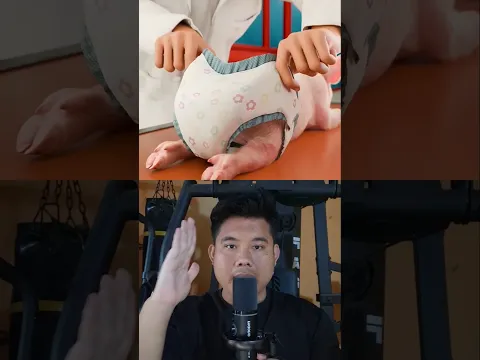 Bayi Babi Pake Popok 😹