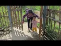 Download Lagu The child's father kept coming to ask for money, making Dr. Bao very angry.
