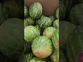 Safeway today
