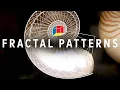 What is a fractal A lens to infinity EXPERIMENTALS Nautiluses part 2