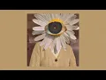 Superorganism - Something For Your M.I.N.D. (sped up)