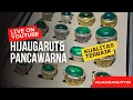 Lagu Live hijau garut dan pancawarna berkualitas