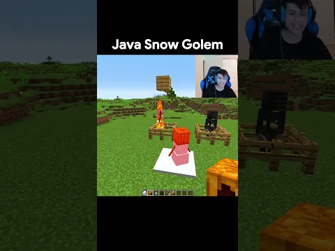 Minecraft Java Snowgolem Vs Bedrock Snowgolem