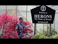 Download Lagu Herons Bonsai Spring Colours