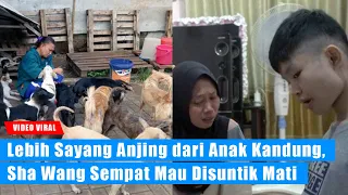 Download Lebih Sayang Anjing dari Anak Kandung Sendiri, Siti Sebut Sha Wang Sempat Mau Disuntik Mati Ibunya MP3