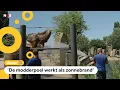 Download Lagu IJsjes en koude douche: ook dieren worden afgekoeld