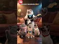 Lagu kucing gemoy jago main gitar#kucing #lucu #imut