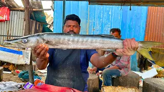 Kasimedu speed selvam sheela barracuda fish cutting #kasimeduselvam #shorts #bigfish #youtube