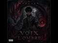Voix dans l’ombre - Kaelius 