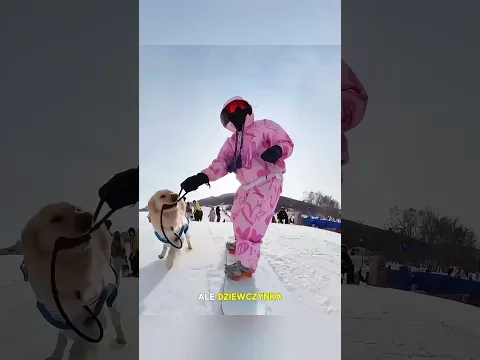 Pies, który nigdy nie przestał jej szukać 🐕❄️