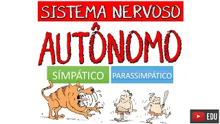 SISTEMA NERVOSO AUTÔNOMO: Simpático e Parassimpático (Video Aula) - Neuroanatomia com Rogério Souza