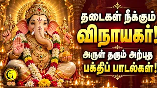 தடைகள் நீக்கும் விநாயகர்! அருள் தரும் அற்புத பக்திப் பாடல்கள்! GaneshaBhajans | VinayagarSongs