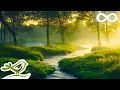 Lagu Daydreaming: Relaxing Flute \u0026 Piano Music with Trickling Water Sounds for Spa, Meditation \u0026 Sleep