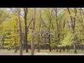 The Oh Hellos - Hello My Old Heart (slowed + reverb)
