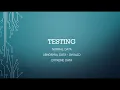 Lesson 4 - Testing