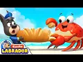 Download Lagu 🔍Sheriff Labrador - Los Cangrejos Están Llegando 🦀 | Videos para Niños | BabyBus en Español