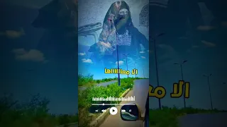 قد عشق قلبي يتيمه نادرالجرادي اغاني يمنية تصاميم حالات واتس حالات 2023 