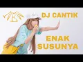 Download Lagu Dj susu
