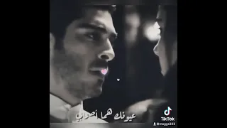 اصاحب مين هاني شاكر     دندنها