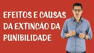 Extinção da Punibilidade e Prescrição - Efeitos e Causas da Extinção da Punibilidade