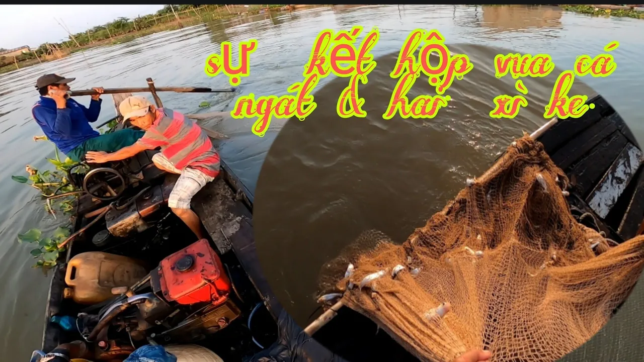 Vua Cá Ngát/Chụp Chài Trúng Đậm  đàn Cá Gai Nước Ngọt
