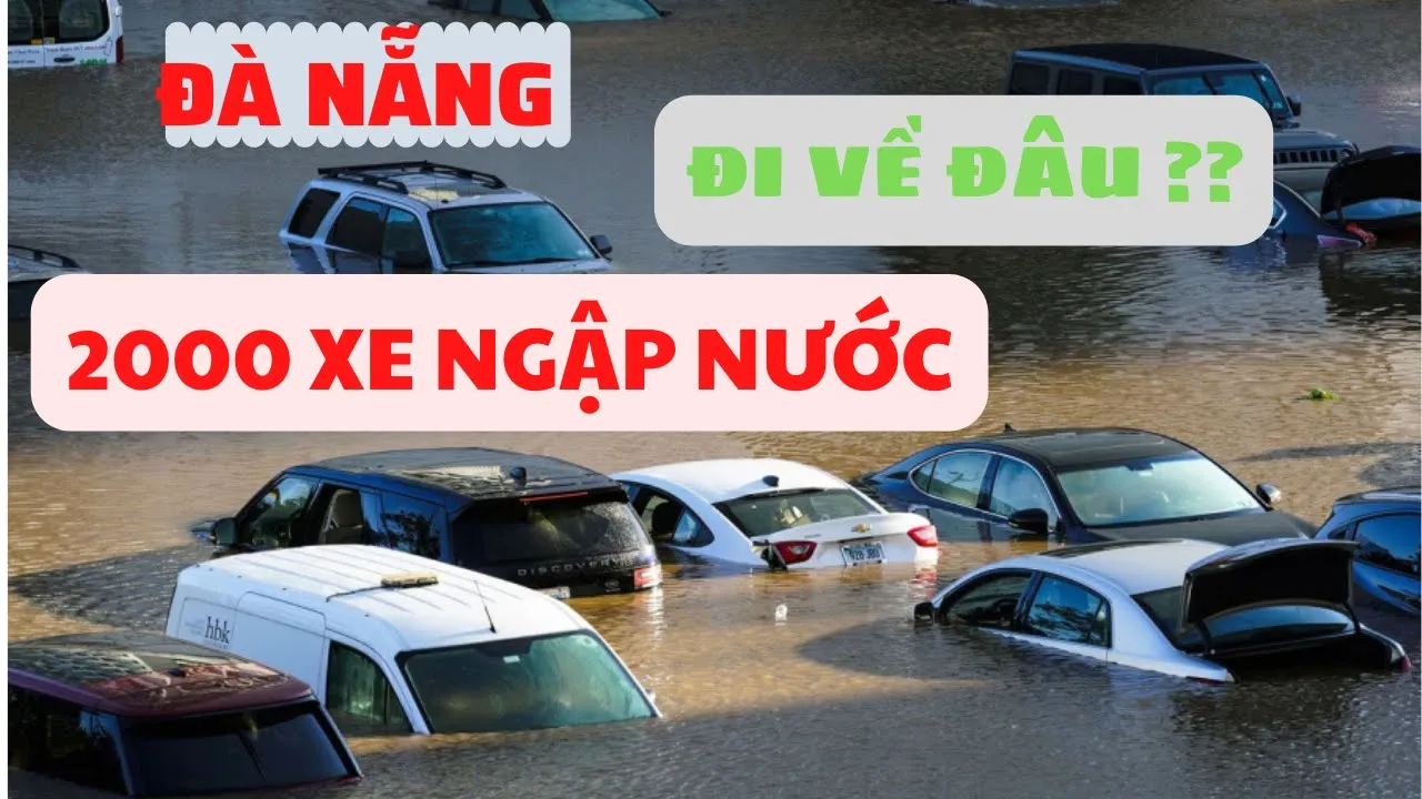 Bỏ TIỀN ra mua xe NGẬP NƯỚC. Bị LỪA hay CHẤP NHẬN/ @lamotocusaigon