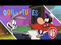 Download Lagu New Looney Tunes | Holy ship!