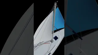 sail tension 😎 #shorts #sailing #sail