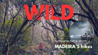 discovering MADEIRA: thrilling HIKES and 115km/h marina STORM madness! | EP11