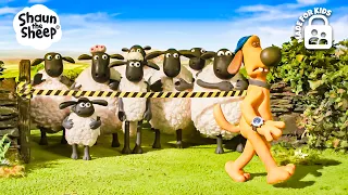 BITZER PUT THE WHOLE FLOCK ON PUNISHMENT! 🐕🧹 | Shaun the Sheep 🐑