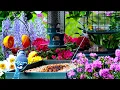 🔴LIVE Cottage Spring Bird Feeder: Cardinals, Woodpeckers, Goldfinches, Nature Sounds, Sleep, Cat TV