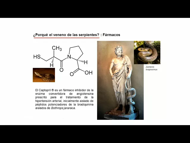 5.5. Venómica