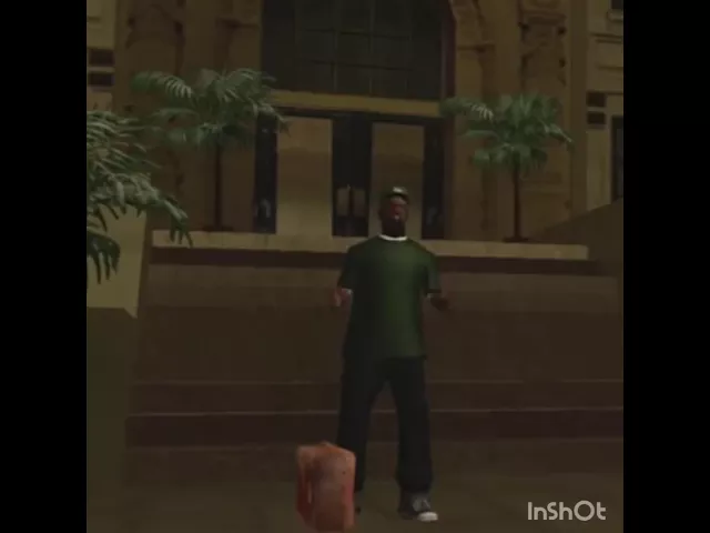 Nigga What the FUCK is this BULLSHIT?  GTA San Andreas Sweet
