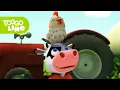 Lagu Toggolinos Hühnerfreunde | 1 Stunde | Abenteuer mit Toggolino