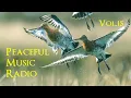 Download Lagu Peaceful Music Radio Vol.15 | 2024.10.6 演奏会のピアノ即興演奏 / Yuusuke