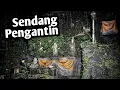 Lagu SENDANG KRAMAT, PERNIKAHAN JIN DAN MANUSIA!