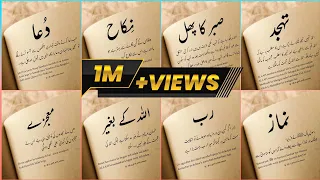 best islamic quotes for whatsapp status islamic dp golden words islamic quotes