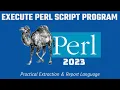 Perl Programming - Execute Run Scripts 2023